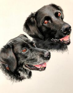 Dog Pet Portrait