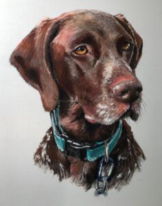 Dog Pet Portrait