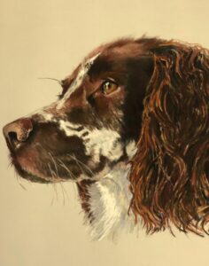 Dog Pet Portrait