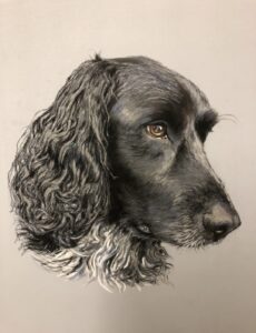 Dog Pet Portrait