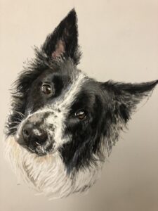 Dog Pet Portrait