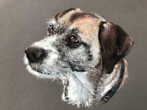 Dog Pet Portrait