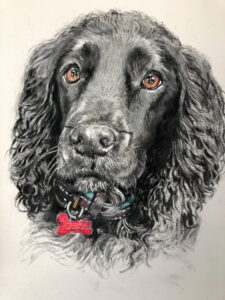 Dog Pet Portrait