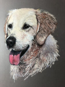 Dog Pet Portrait