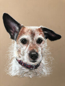 Dog Pet Portrait