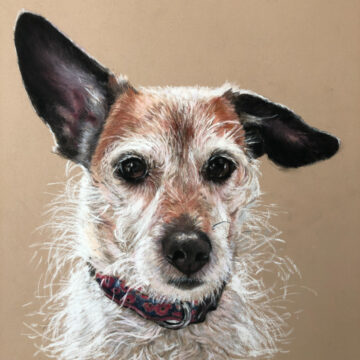 Dog Pet Portrait