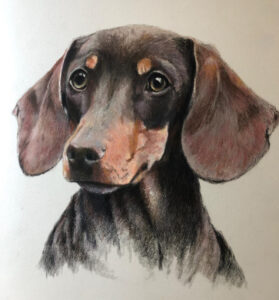 Dog Pet Portrait