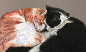 Realistic pastel drawing of two cats, one ginger and one black and white, cuddled together sleeping.