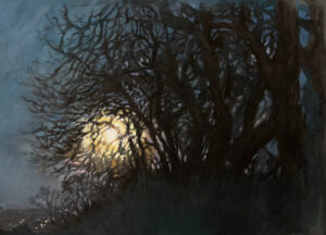 Pastel painting of moonlight filtering through the tangled branches of dark, wind-swept trees against a deep blue twilight sky, with golden and pale lilac light glowing at the centre of the composition. Chagford, Devon