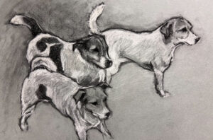 Charcoal drawing of three Jack Russell terriers in energetic motion, rendered with confident gestural lines and bold tonal contrast on grey paper.