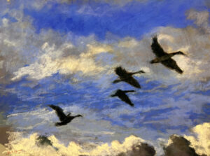 Pastel painting of four Canada geese in silhouette, banking and climbing through a dynamic, cloud-filled blue sky, with billowing white cumulus rising from below.