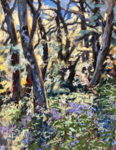 Pastel painting of a sunlit bluebell wood in Devon in full spring colour, with tall dark tree trunks catching warm orange and yellow light, and a dense foreground of bluebells, ferns, and cow parsley in blue, green, and white.